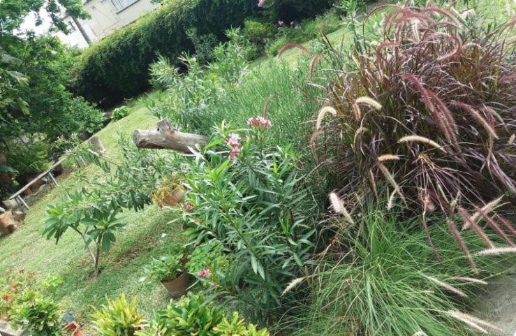 Comfy Home-Tropical Garden & 5 Min Walk To Beach Tamarin Bagian luar foto