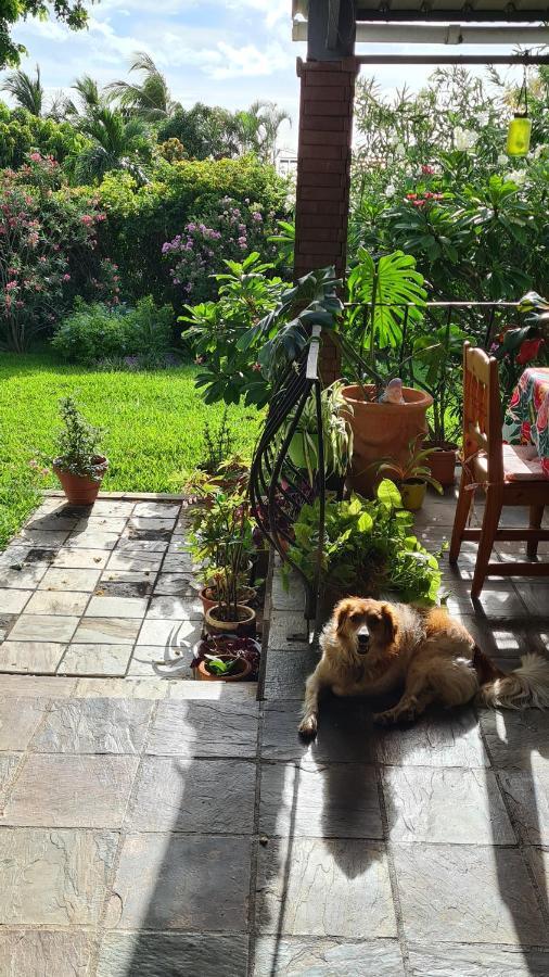 Comfy Home-Tropical Garden & 5 Min Walk To Beach Tamarin Bagian luar foto